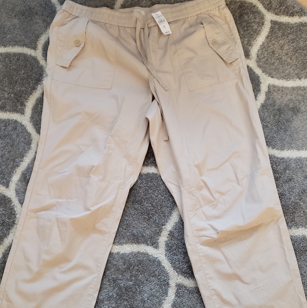 Loft Khaki pant